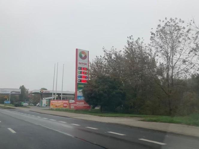 Amic ul. Strykowska