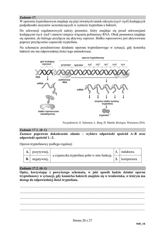 Matura 2019 z biologii [ARKUSZE CKE, ODPOWIEDZI]