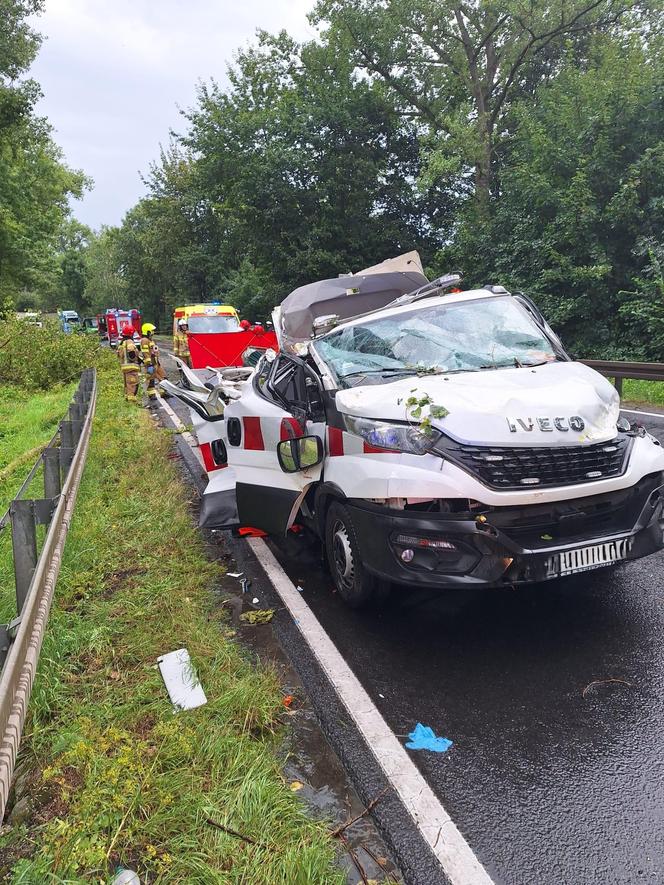 Dolny Śląsk. Drzewo spadło na busa. 56-latek nie żyje, cztery osoby są ranne 