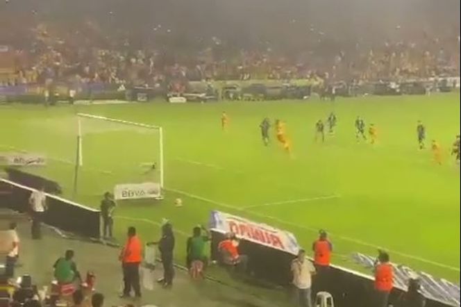 Kibice myśleli, że to stało się na mistrzostwach świata! Wideo ekwadorskiej fanki stało się viralem