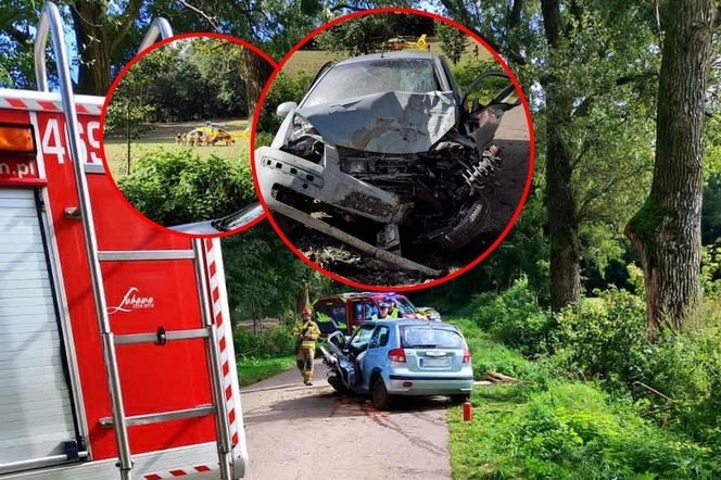 Młody kierowca wjechał w drzewo. 29-latek jechał bez pasów i prawa jazdy