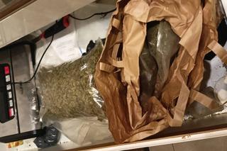 Nalot kryminalnych z Torunia na mieszkanie na Chełmińskim Przedmieściu