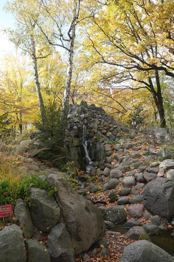 Park Wilsona jesienią