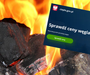 Powstała rządowa porównywarka cen węgla. Firmy, które się tam nie zarejestrują, dostaną wysokie kary   