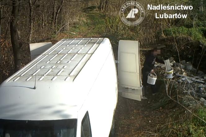 Kadr z filmu na którym uchwycono leśnego śmieciarza z okolic Lubartowa