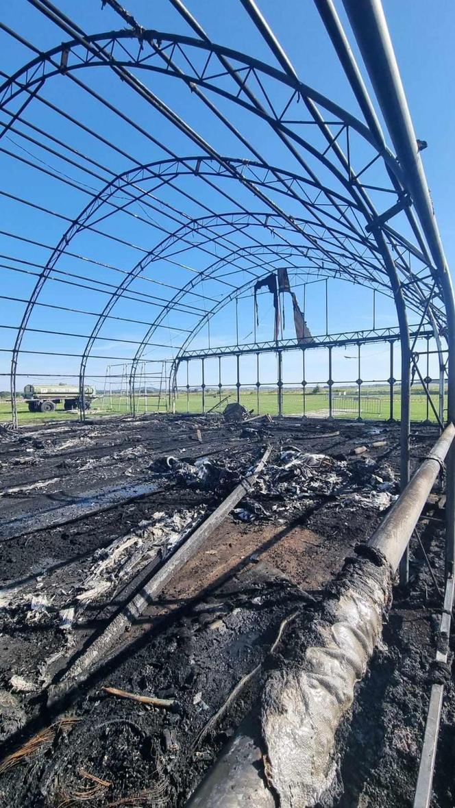 Hangar z samolotami doszczętnie spłonął