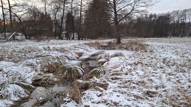 Nałęczów - Park Zdrojowy zimą