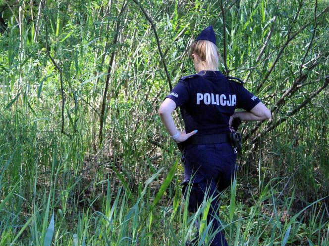 Działania służb na Wiśle w Toruniu. Straż, policja, strażnicy miejscy i grupa poszukiwawcza w akcji