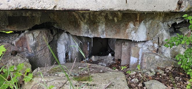Odwiedziłam jeden z piękniejszych powiatów na Mazurach. To prawdziwy „szlak bunkrowy”