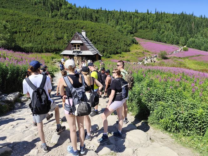 Najazd turystów na Tatry. Popularne szlaki przeżywają prawdziwe oblężenie