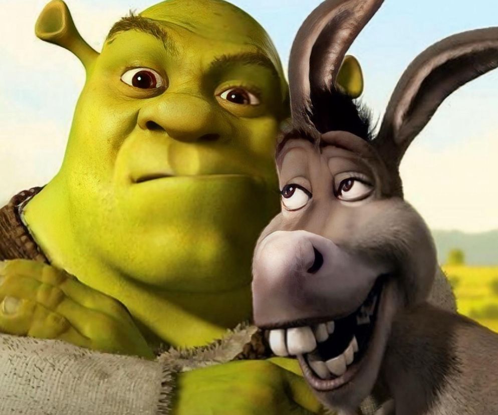 Shrek i Osioł