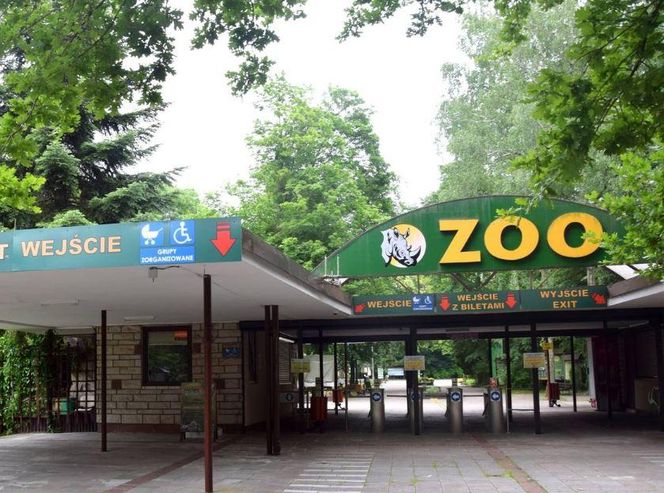  Nowe ZOO
