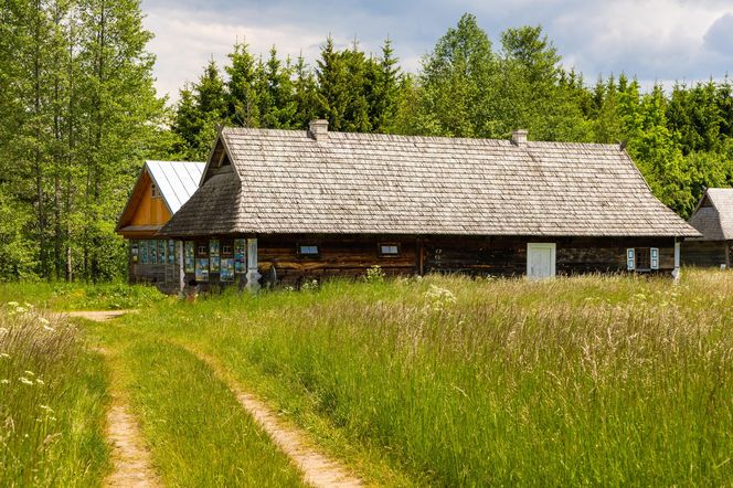 Białowieża