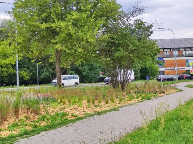 Park kieszonkowy powstający przy ul. Wyszyńskiego w Siedlcach