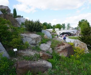 Ogród Botaniczny w Kielcach
