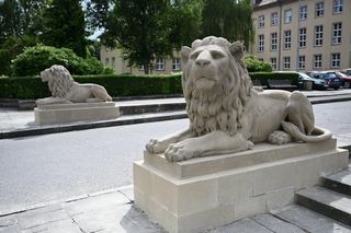 Koszalińskie lwy odzyskały dawny blask