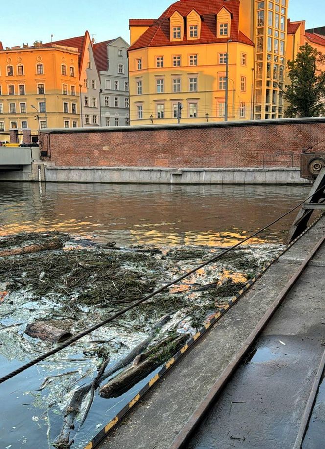 Wrocław. Ciało młodego chłopaka wyłowione z Odry. Tragedia pod elektrownią wodną [ZDJĘCIA]. 