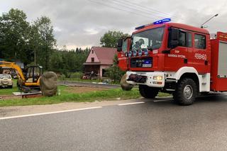 Bańska Wyżna. Pyton królewski czmychnął właścicielowi. Gad wystraszył mieszkańców osiedla