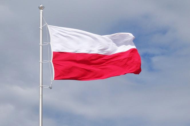 Flaga polski wybory