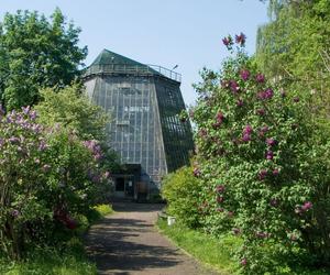 7 najładniejszych ogrodów botanicznych w Polsce. Kiedy je odwiedzić i gdzie są?