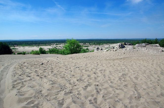 9. Pustynia Błędowska