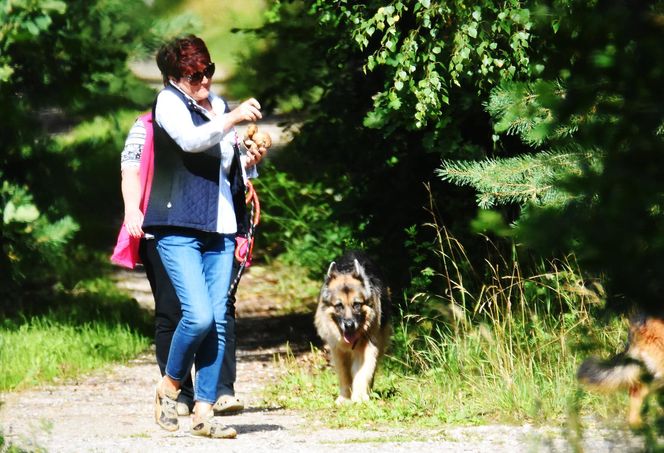  Jolanta Kwaśniewska wystąpi w "Tańcu z Gwiazdami"