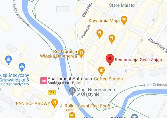 Gęś i zając 