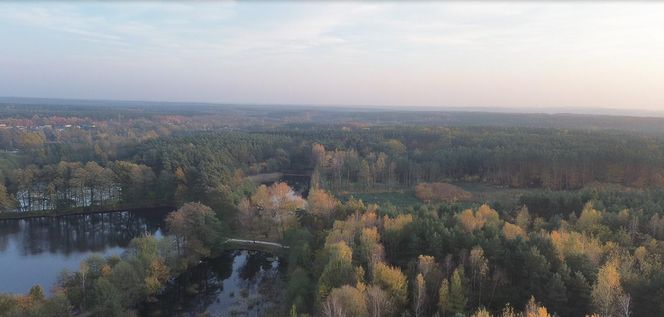 Idealne miejsce na jesienny spacer w Śląskiem - Kamień 