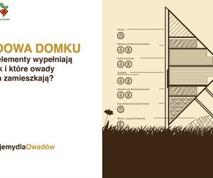 W Polsce powstał największy na świecie dom dla owadów. Właśnie trafił do księgi Guinnessa