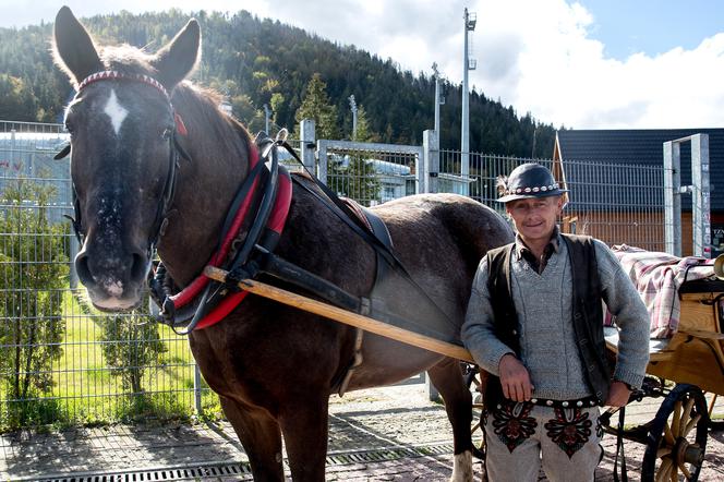 Góralska prognoza pogody, Franciszek Gąsienica