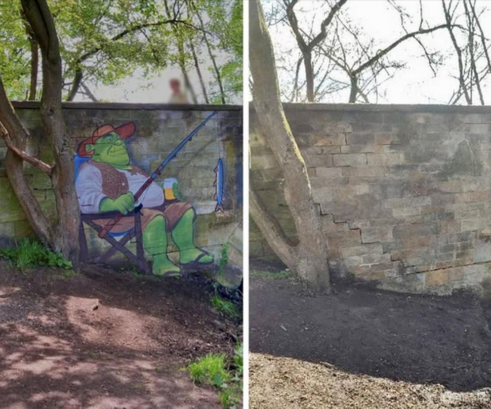 Poznań. Ludzie stanęli w obronie wanadal i jego malunku