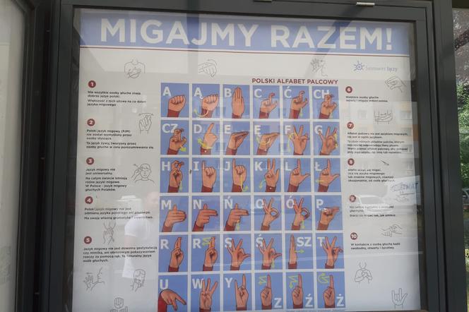 Tablice do nauki języka migowego na sosnowieckich przystankach 