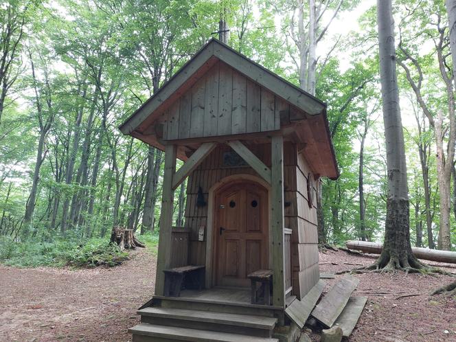 Góra Chełm w powiecie strzyżowskim na Podkarpaciu [GALERIA]