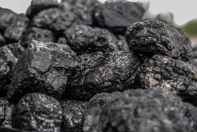 Tani węgiel w Wielkopolsce. Ile kosztuje tona węgla w składach opału? 