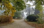 Zamojski Park jesienią