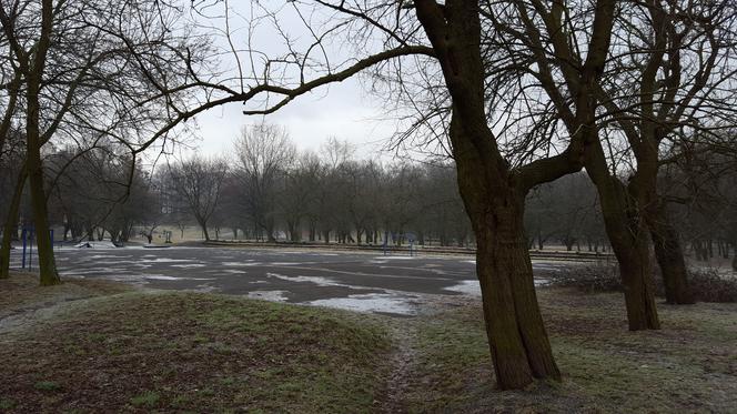 Park Grabek w Czeladzi