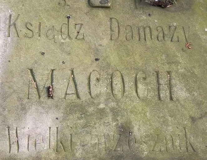 Tak wygląda grób księdza Damazego Macocha. Trafił do więzienia za zabójstwo [ZDJĘCIA].