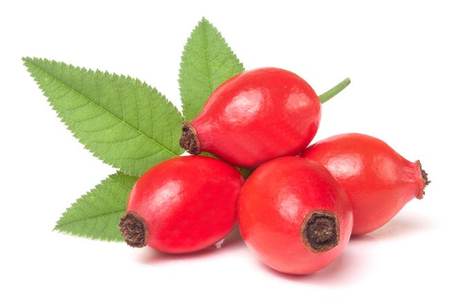 1. Dzika róża – 1800 mg / 100 g