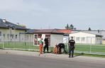 Psy z Berlina szukają zwłok mieszkanki Podkarpacia