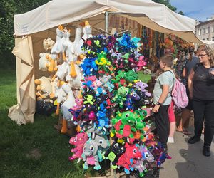 Smoczy Piknik Rodzinny 2025 w Krakowie