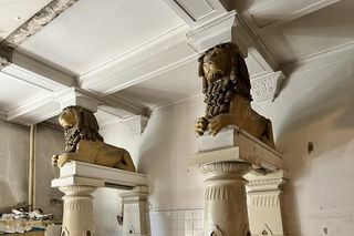 Lew spędził dekady za ścianą sklepu mięsnego. Wkrótce poznańska kamienica przejdzie remont