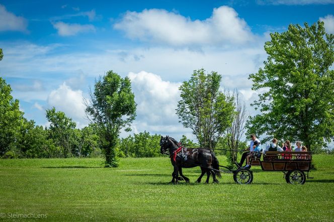 Wielki piknik ZPPA zachwycił Polonię