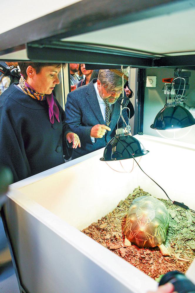 Tu zamieszkają zagrożone zwierzaki