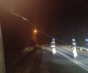 Bielsko-Biała. Ponad 50 interwencji straży pożarnej w nocy. To przez silny wiatr