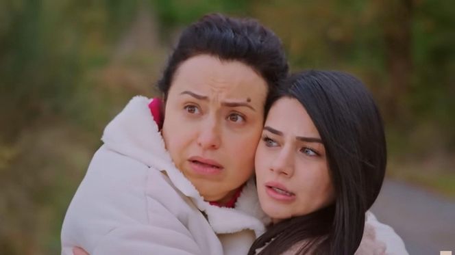 Miłość i nadzieja odc. 330. Bahar, Cavidan