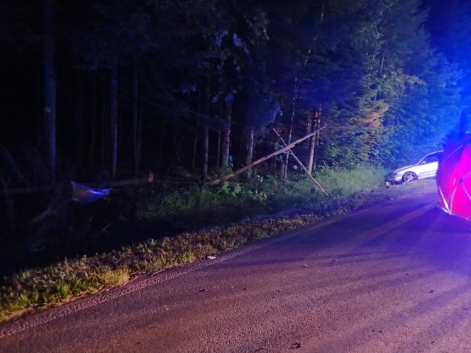 Nie żyje 17-latek, nocny wypadek pod Bodzentynem