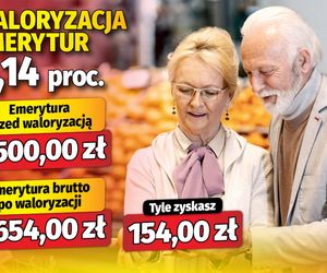 Waloryzacja emerytur 6,14 proc.