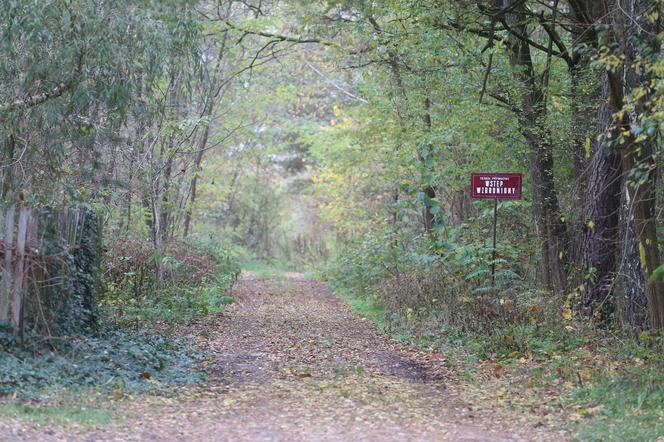 Śmierć 4,5-letniego Leosia pod Garwolinem. Sąsiadka: „Takie rzeczy nie powinny w ogóle się wydarzyć”