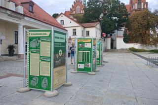 Wystawa „Nasze zuchy… Z dziejów ZHP Chorągwi Białostockiej” z okazji 100-lecia Chorągwi.