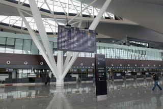 Gdańsk: Pijany pasażer nie chciał wyjść z samolotu. Miał ponad 2,5 promila